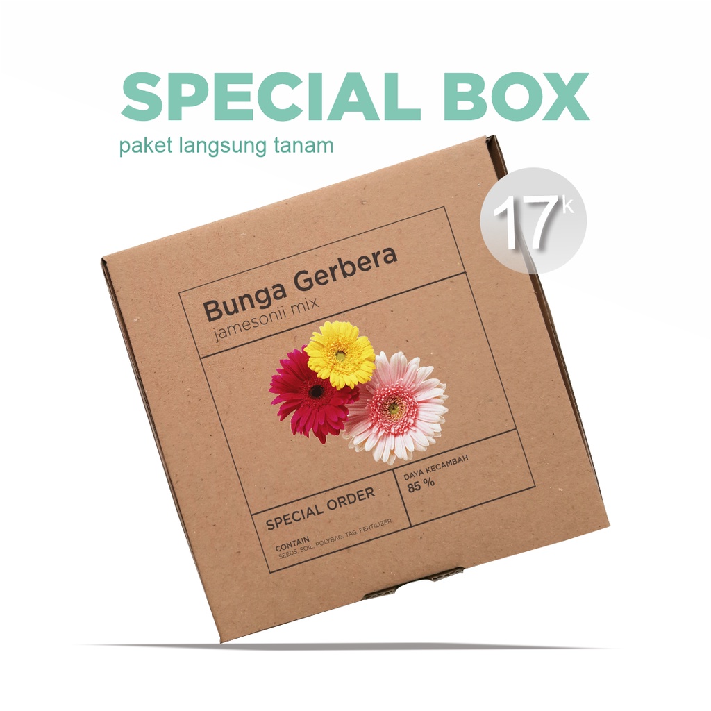 Paket Langsung Tanam - Gardening Kit - SPECIAL BOX - Benih Bunga Gerbera Jamesonii Mix Flower Seeds