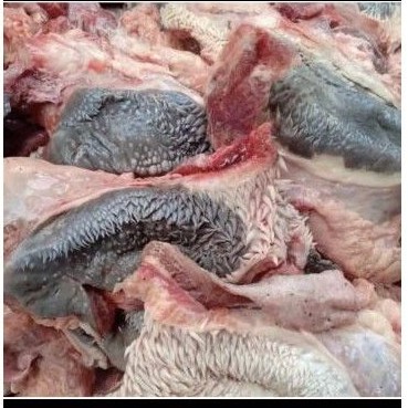 

Daging kepala - CINGUR- HEADMEAT - 1000gram