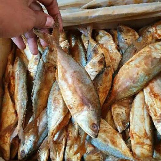 

[COD] IKAN ASIN PEDA MERAH SUPER [COD]