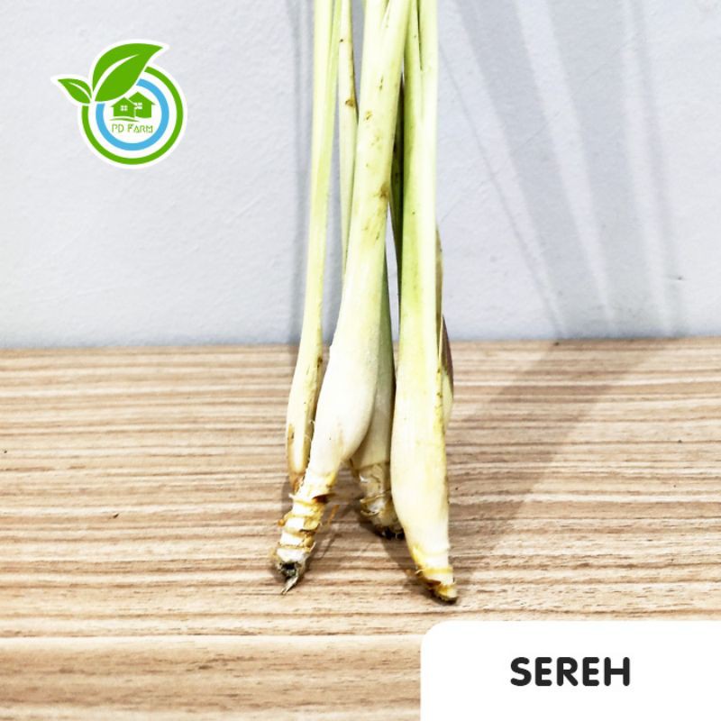 

Sereh (100gram)