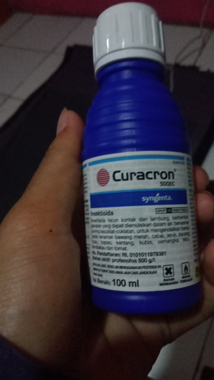 Insektisida Pembasmi Hama Kutu Putih Curacron 500ec-100ml