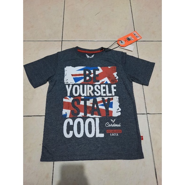 CARDINAL KIDS _ Kaos Anak Cardinal Lengan Pendek dan Lengan Panjang Original ‼️