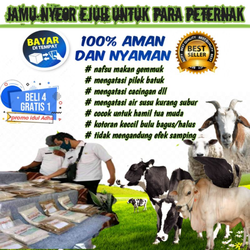 

JAMU PENGGEMUK SAPI, KAMBING, DOMBA, DAN KERBAU