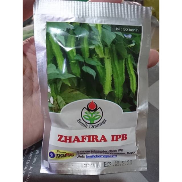 Benih Kecipir IPB Zhafira