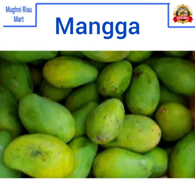 

Buah Mangga Per 1 Kg - Berat Kurang Lebih