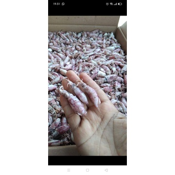 

Seafood Cumi Asin Kering Terbaik @1kg