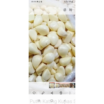 

BAWANG KATING KUPAS DANGIN