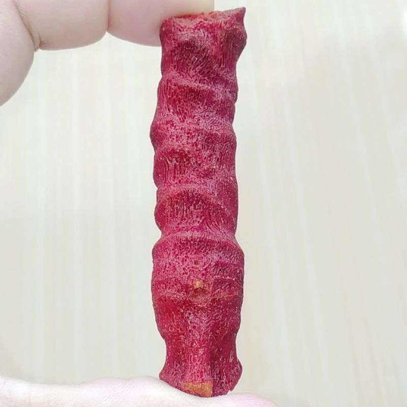 Bahan Rough Batu Natural Red Coral / Marjan Merah Karang Laut Murah 02