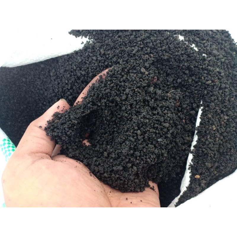 PASIR MALANG HITAM NO 1