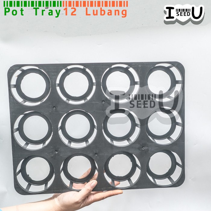 Pot Tray Semai Benih/Bibit Anggrek 12 Lubang