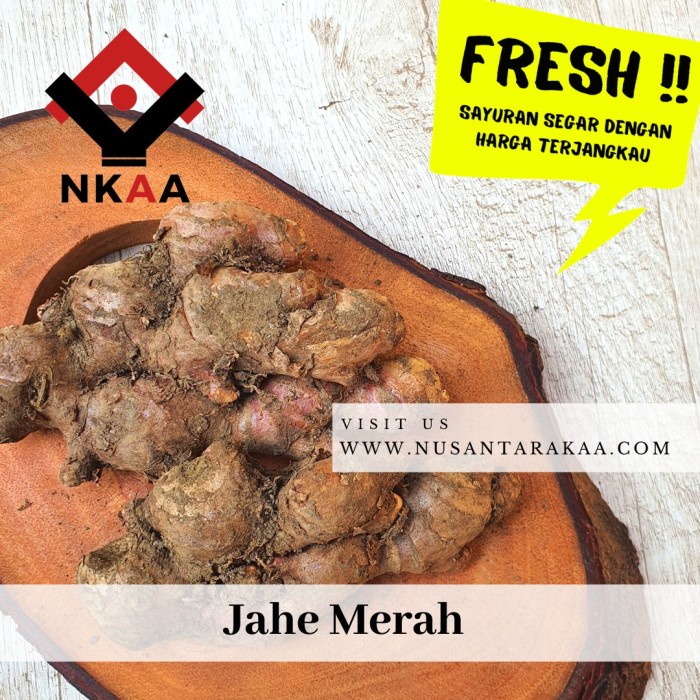 

Jahe Merah Besar kemasan 1 kg (BERKUALITAS)