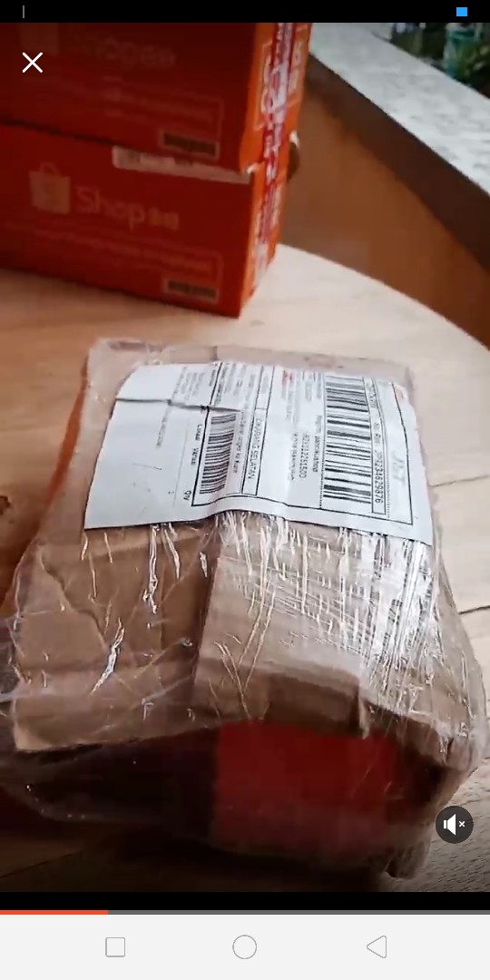 Tempat Sikat Gigi Maspion Family Tooth Brush Holder