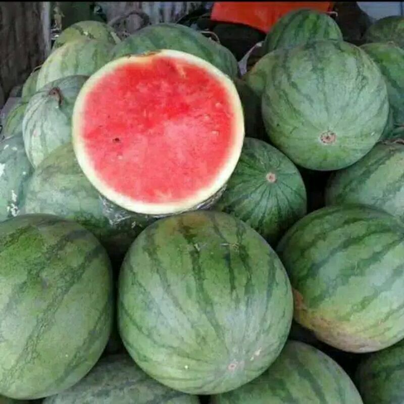

Buah Semangka Merah Banyuwangi Bijian berat Antara 3,5-4kg