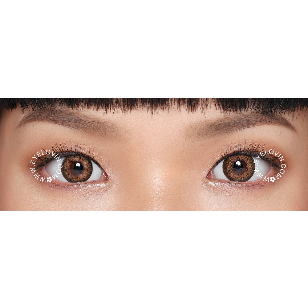 Eyelovin Softlens RosyCon - Mocca Brown