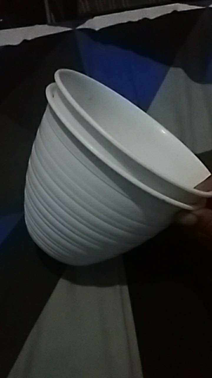 Pot Tawon 18 Cm Plastik  Tanaman Hias Bunga  Sukulen Kaktus