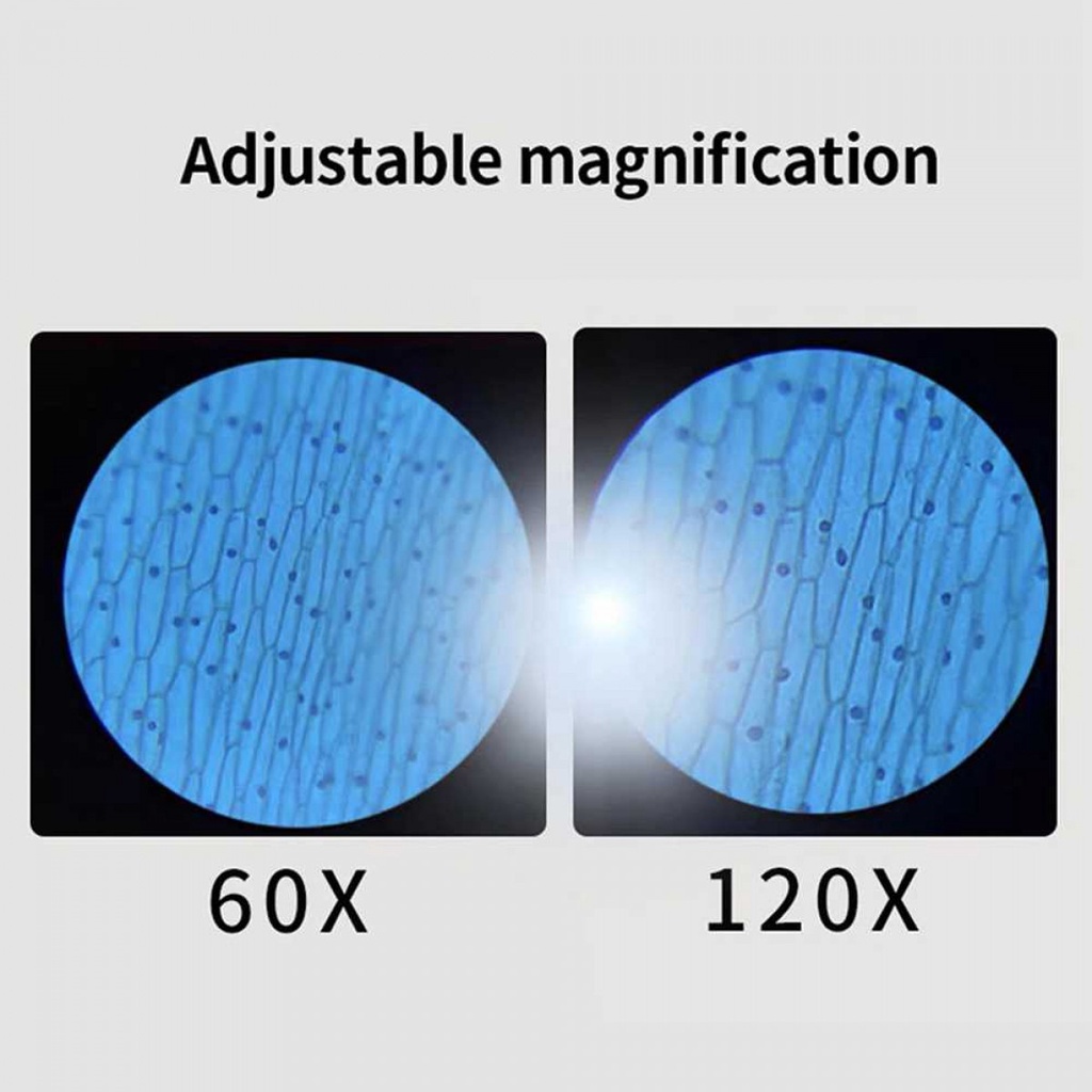 Mikroskop Mini Pocket Lab Edukasi Portable 60X-120X Magnification