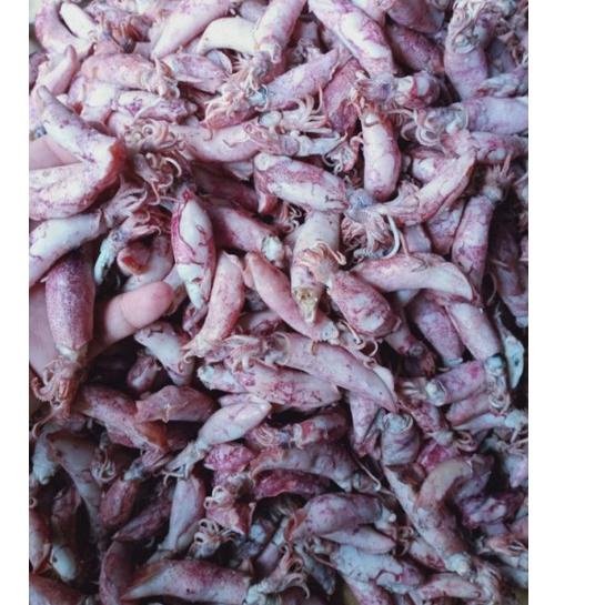 

FREE ONGKIR!Ikan Asin Cumi Baby Semi Kering Kualitas Super Kemasan 250gr|RA9