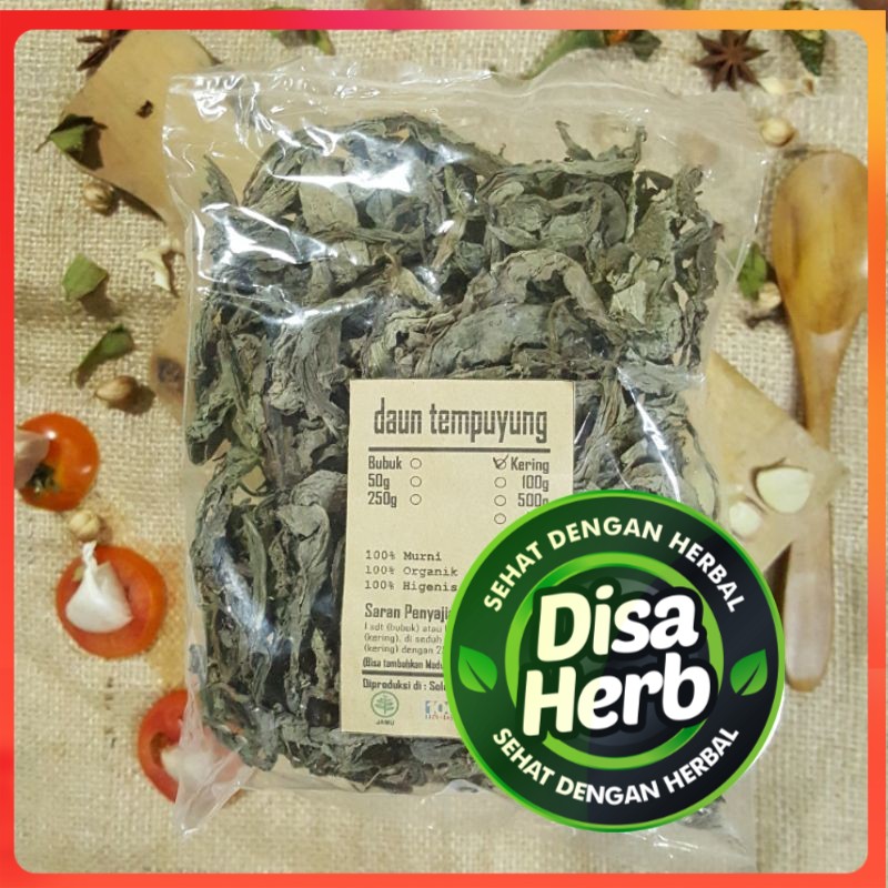 

DAUN TEMPUYUNG KERING 1000 GRAM / 1 KG - Sonchus Arvensis - MURNI - JSR - REMPAH