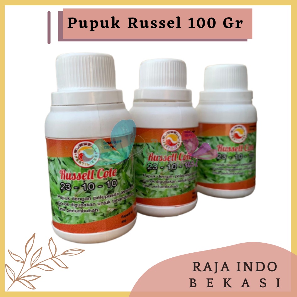 Pupuk Russell Cote Slow Release 23-10-10 100 Gr Pupuk Osmocote 23-10-10 Aglonema Monstera, dan Tanaman masa vegetatif Pupuk Slow Release Original Untuk Sawit Thailan Dus Bonsai - Russell Cote Slow Release 23-10-10 Pupuk Osmocote 23-10-10 Aglonema dll