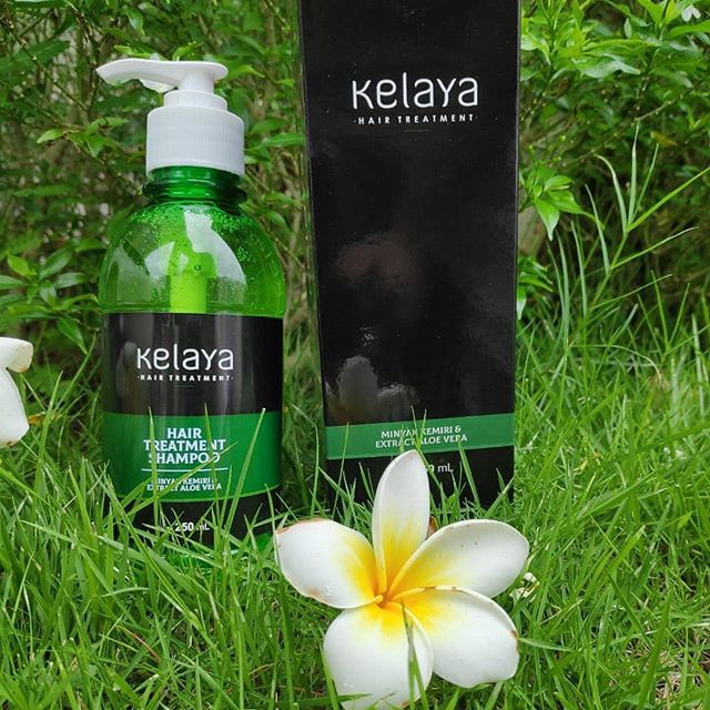 Sampo Kelaya Hair Treatment untuk Mengatasi Rambut Rontok Dan nyaris Botak 250 ml-2