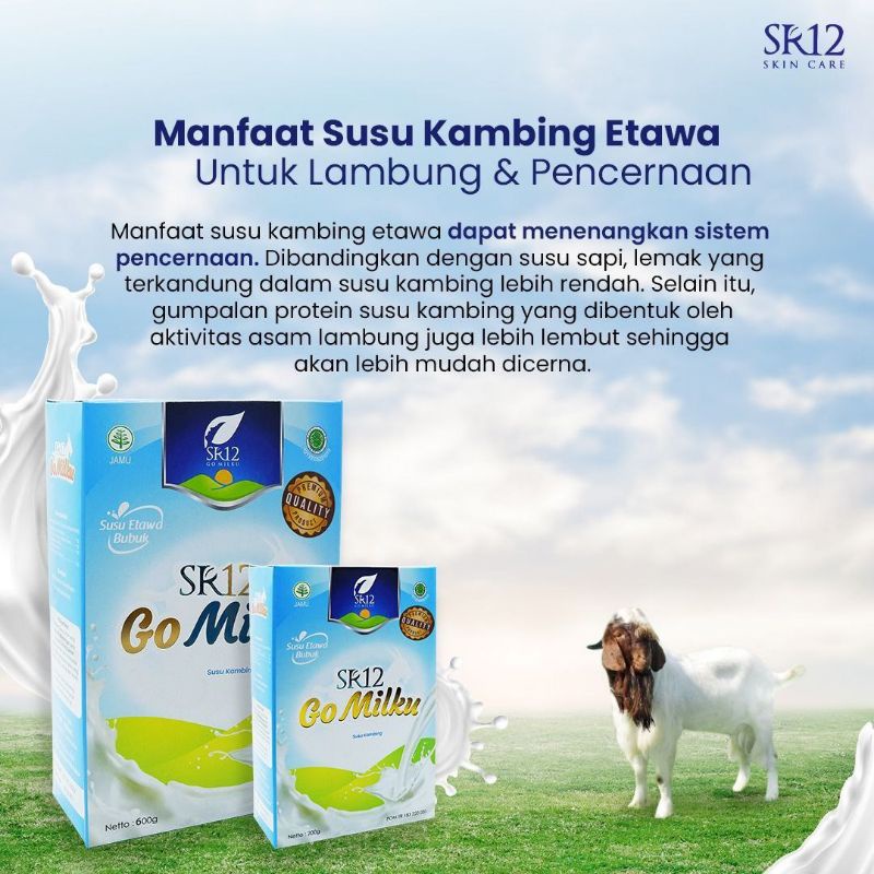 Go Milku SR12 - Susu Lambung Dewasa - Susu Lambung Kronis - Susu Kambing Etawa Murni