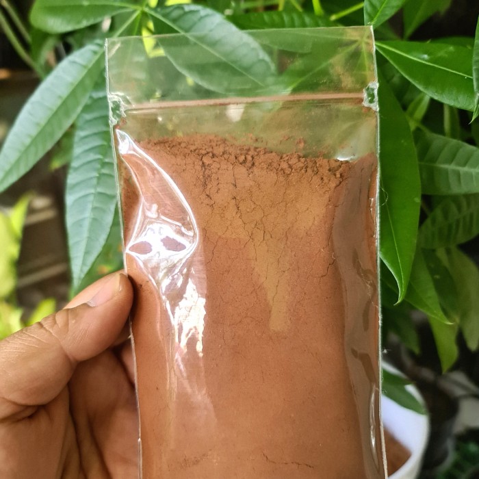 

Pinang Bubuk 100gr - Bubuk Jambe Original Tanpa Campuran