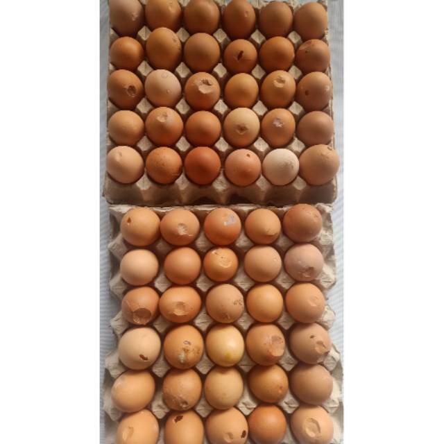 

TELUR NEGRI ( KONDISI RETAK ) per KG