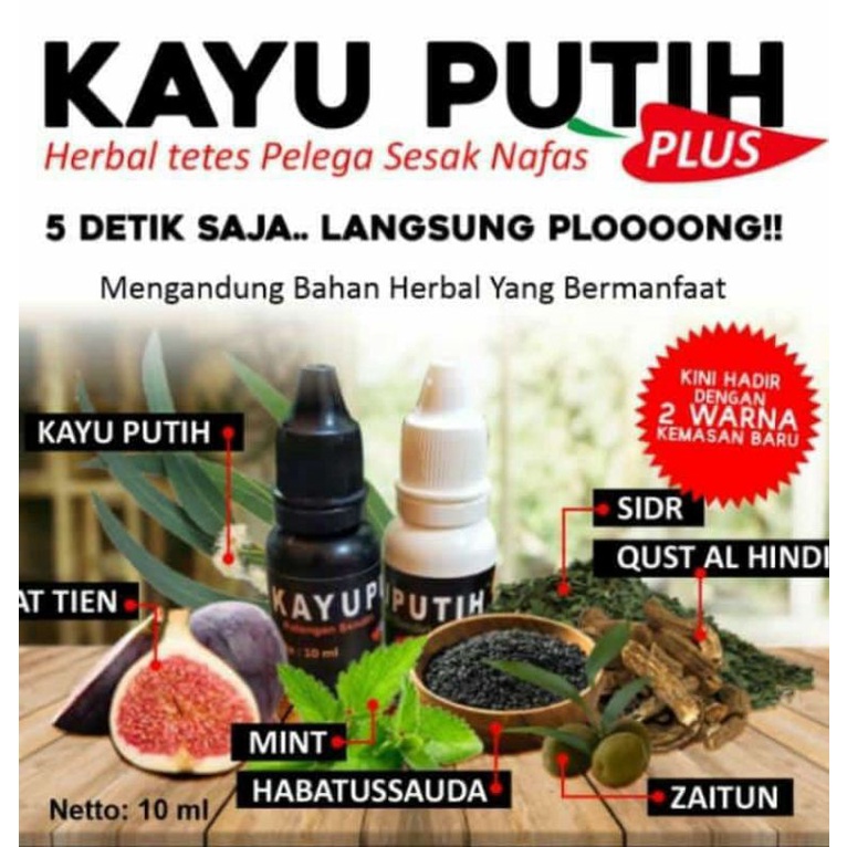 kayu putih plus