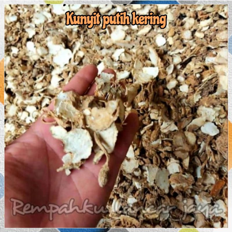 Jual Kunyit Putih Kering 1kg Kunir Putih Asli Original Temu Putih Kualitas Bagus Shopee 7806