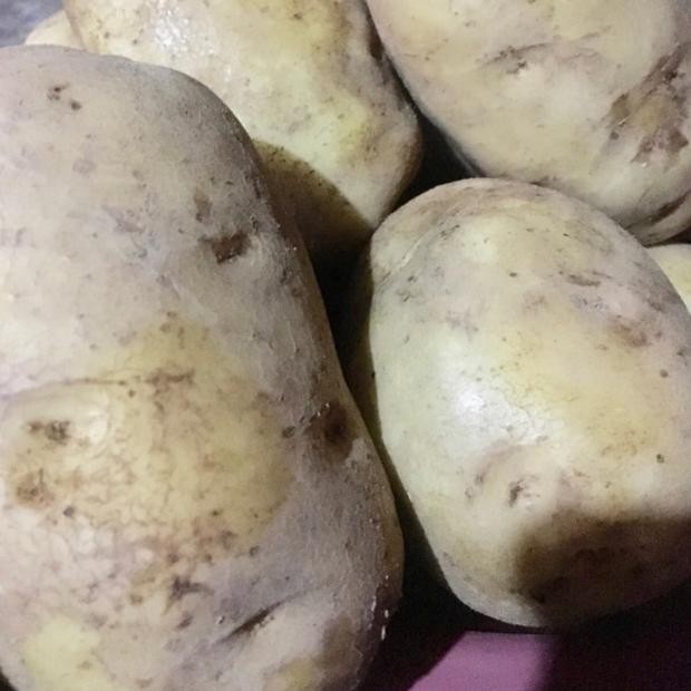 

SUPER SALE Kentang Dieng Besar 500gram