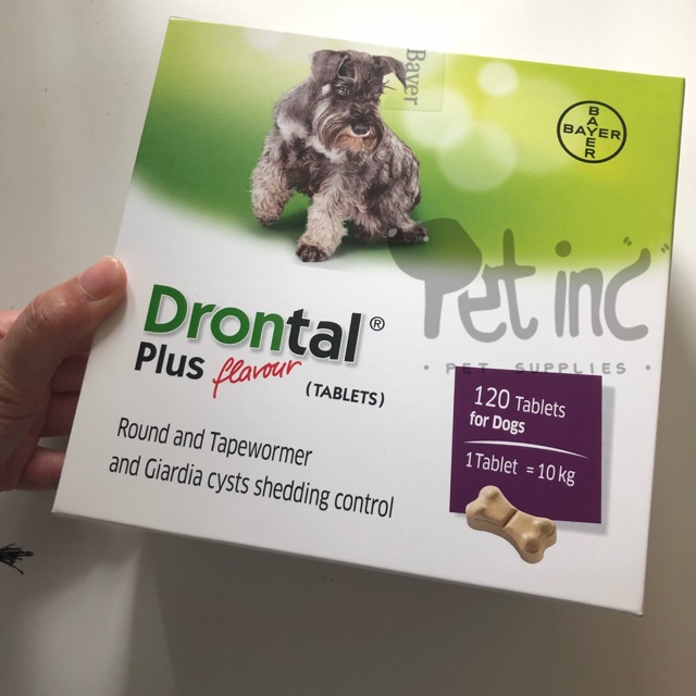 Drontal plus obat cacing anjing