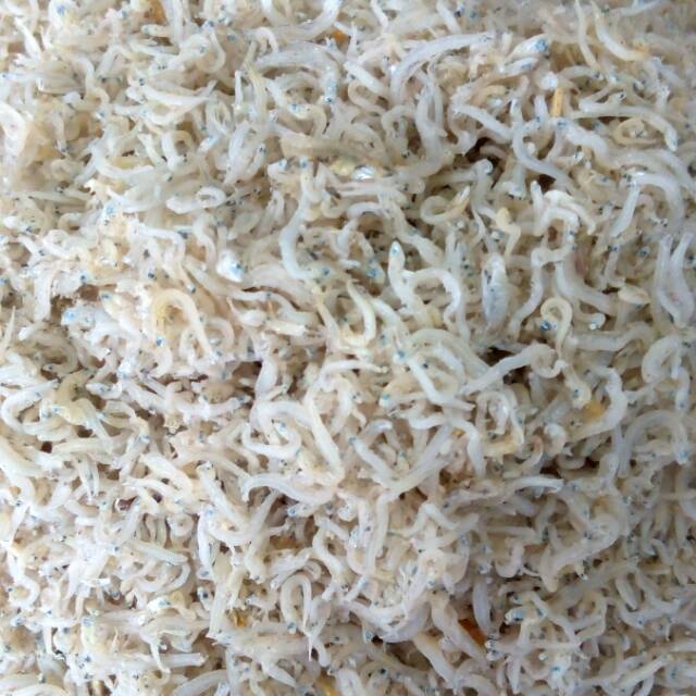 

Bilis nasi putih SUPER GRADE A