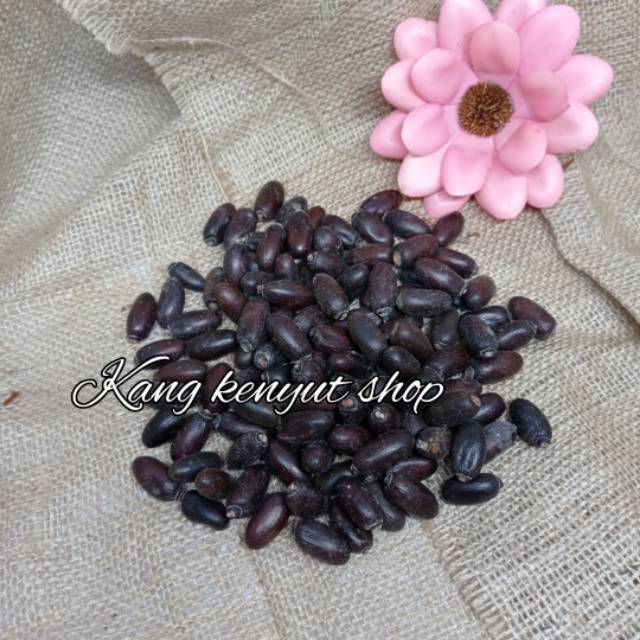 

Biji kepuh, biji jangkang 200 gram