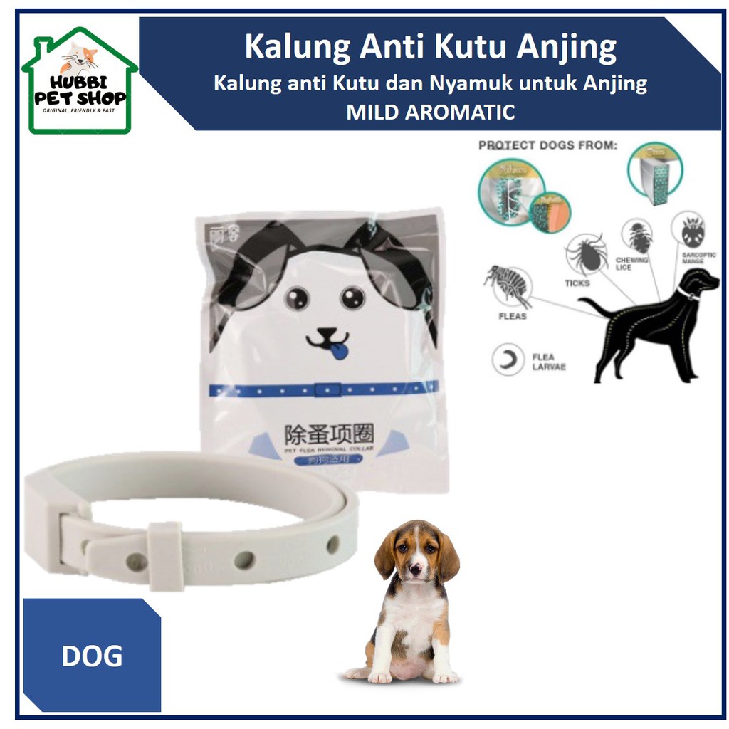 Kalung Anjing Anti Kutu Tungau  Pet Collar anti Flea and Tick Obat Kutu