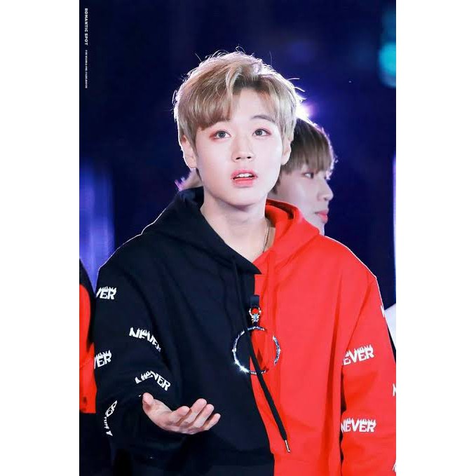Jihoon Never Red Black Hoodie