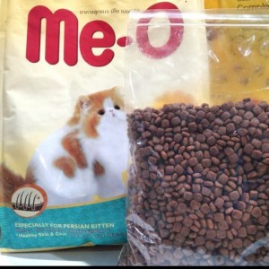 meo kitten persian 1kg