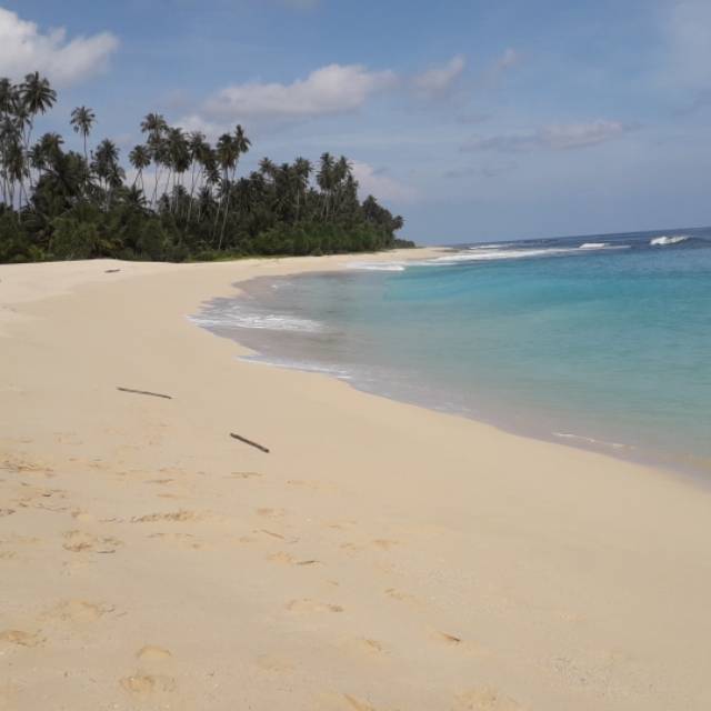 ramimonita