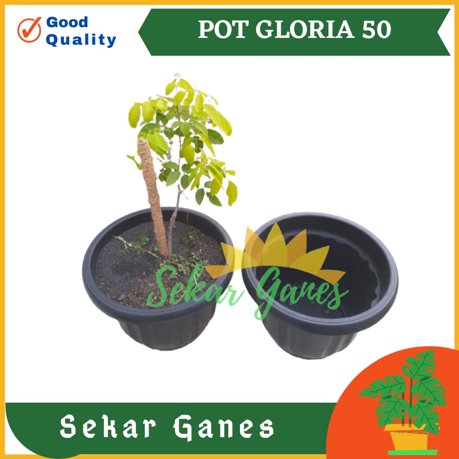 ONLY SAMEDAY AND INSTAN Pot Gloria 50 Hitam - Pot Besar Jumbo 50cm Pot Besar Plastik Bahan Tebal - Pot Hitam Gloria 50 60 70