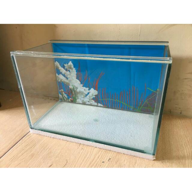 Aquarium Akuarium Ukuran 30 X 15 X 19 Cm Untuk Aquascape Ikan Hamster Hewan Dll Shopee Indonesia