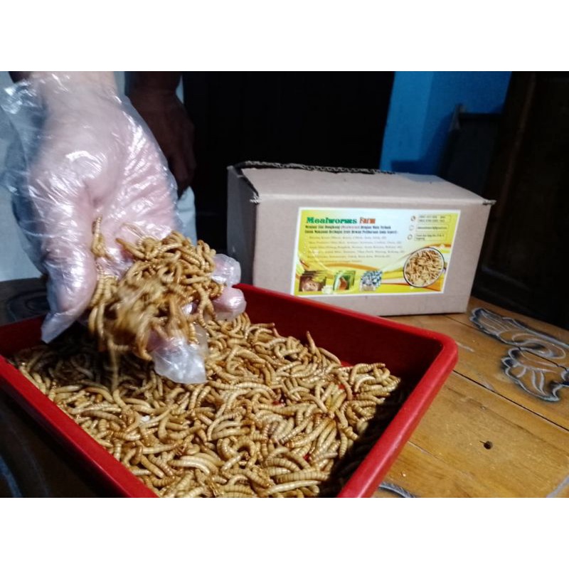 Ulat Hongkong Best Quality 1 Kg