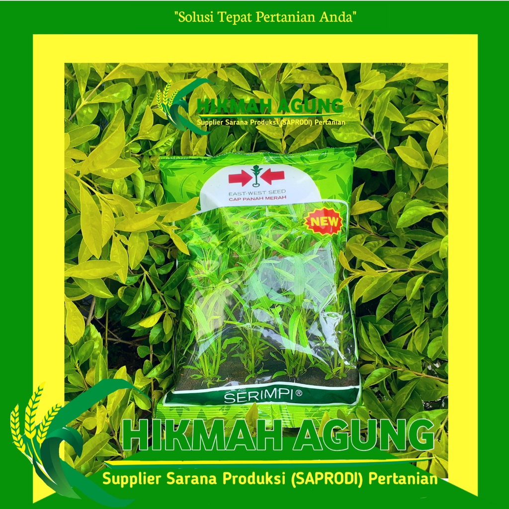 

Benih kangkung NEW SERIMPI 1 KG Cap Panah Merah