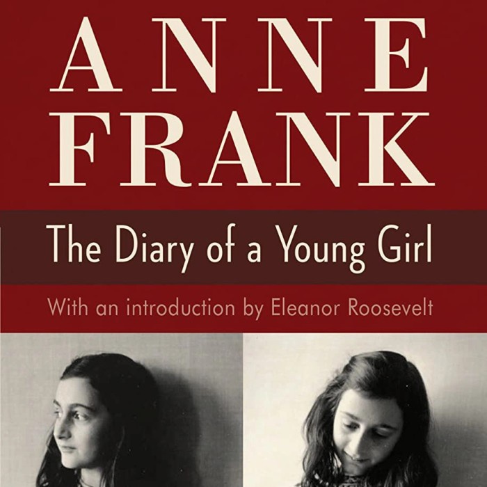 Anne Frank - The Diary Of A Young Girl (HC)
