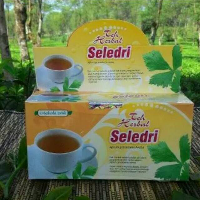 

Teh herbal seledri alami tanpa efek samping kualitas terpercaya