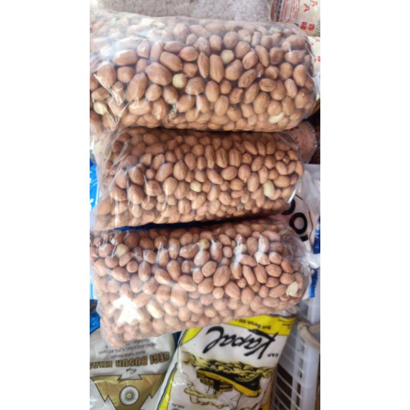 

KACANG TANAH