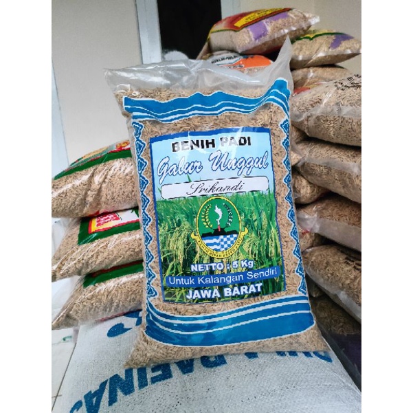 Benih Padi Genjah Hawara Srikandi - SR SRI REPUBLIK CIHERANG SR - 85 Hari Kemasan 5 kg