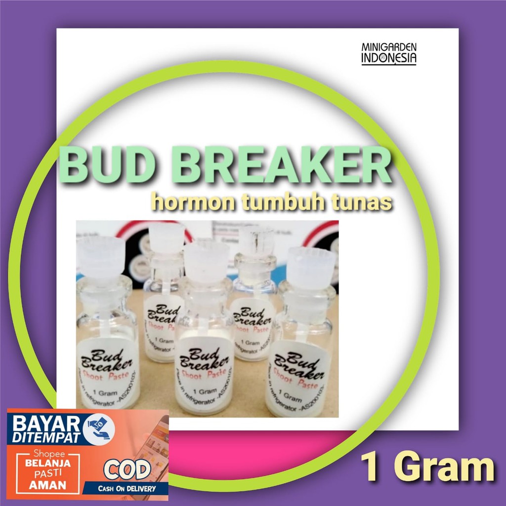 BUD BREAKER 1 GRAM  Hormon Penumbuh Tunas Anggrek salep nutrisi tumbuh keiki pemecah tangkai bunga