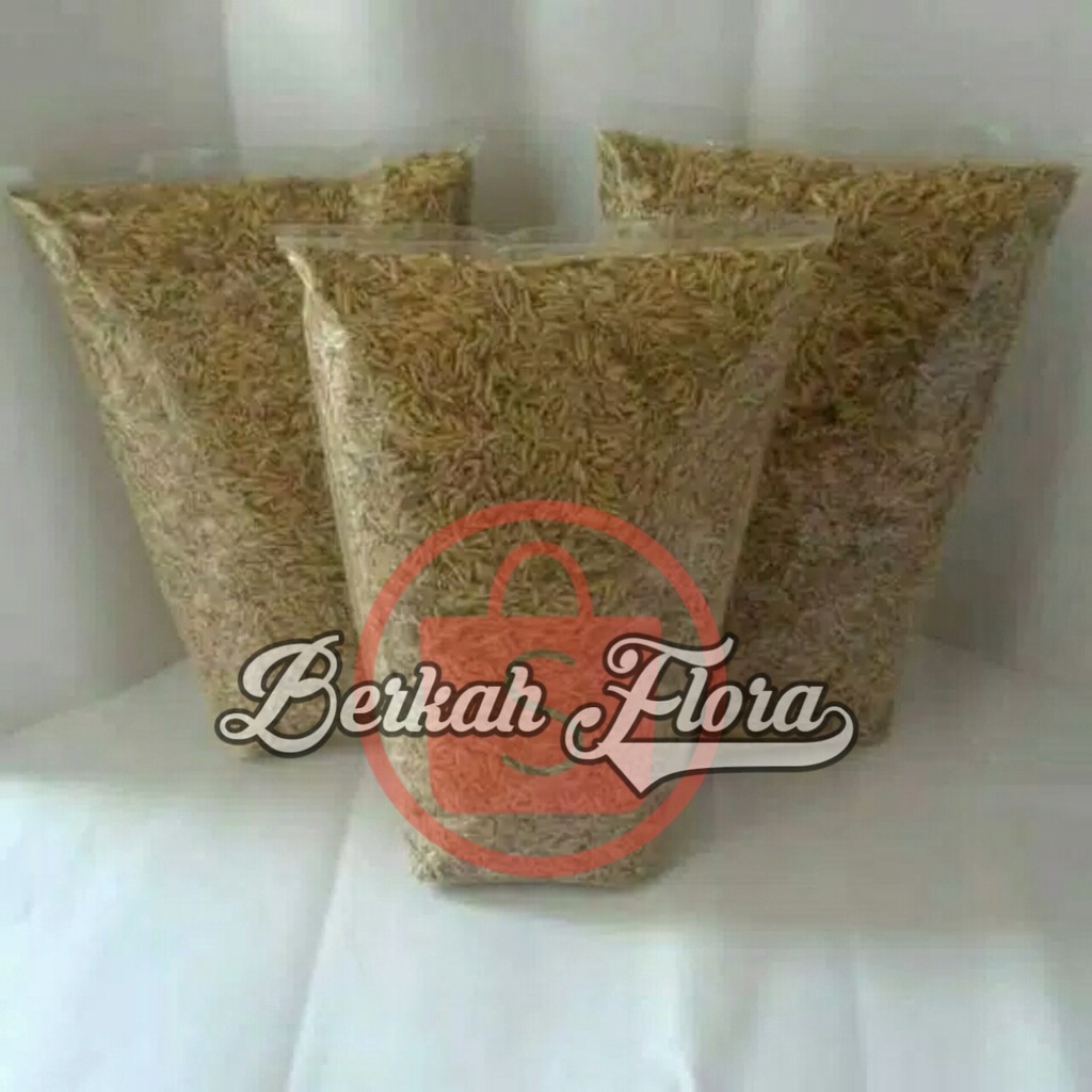 Pupuk sekam mentah/sekam tanaman/media tanam sekam mentah