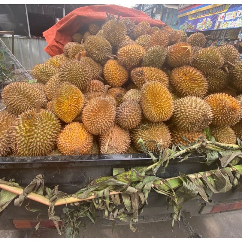 

Durian Kupas Palembang 500gram