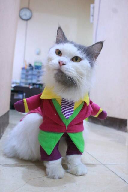 Kostum Joker hijau lucu untuk kucing dan anjing / baju kucing murah size S M L XL