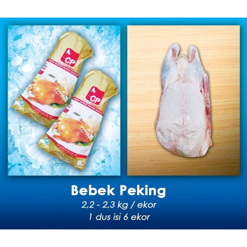 

Bebek Peking 2,2 - 2,3 kg per ekor